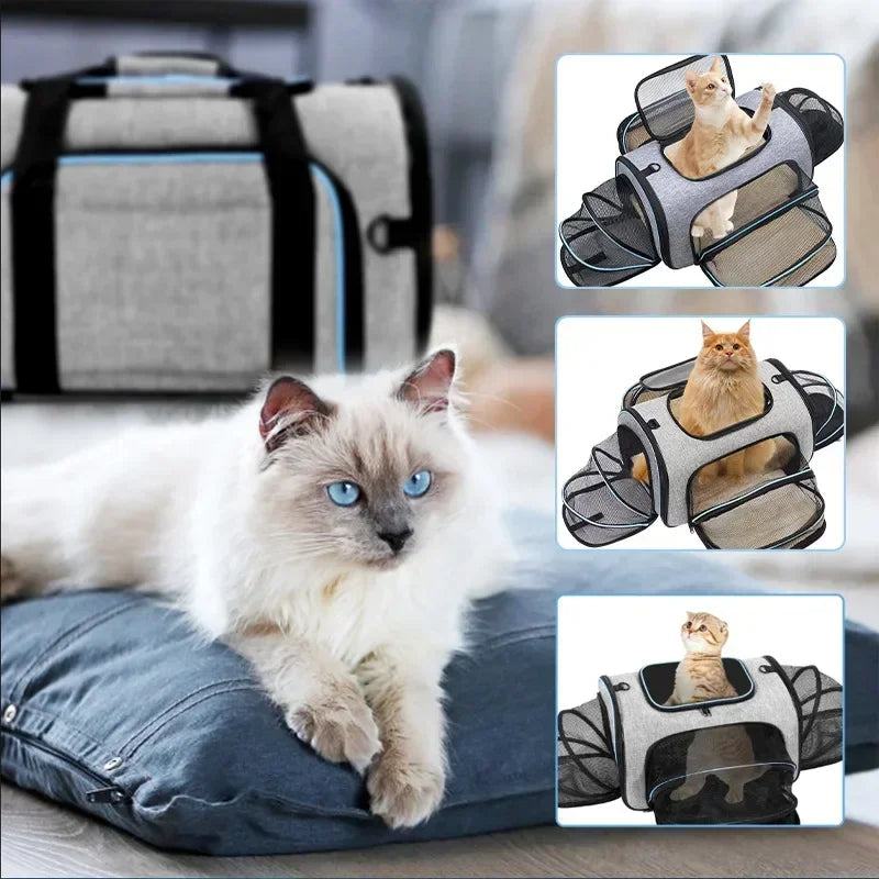 Portable Cat Backpack Carrier Foldable Expandable Pet Travel Bag Airline Approved Breathable Pet Carrier for Dog Pet Accessories Horizon
