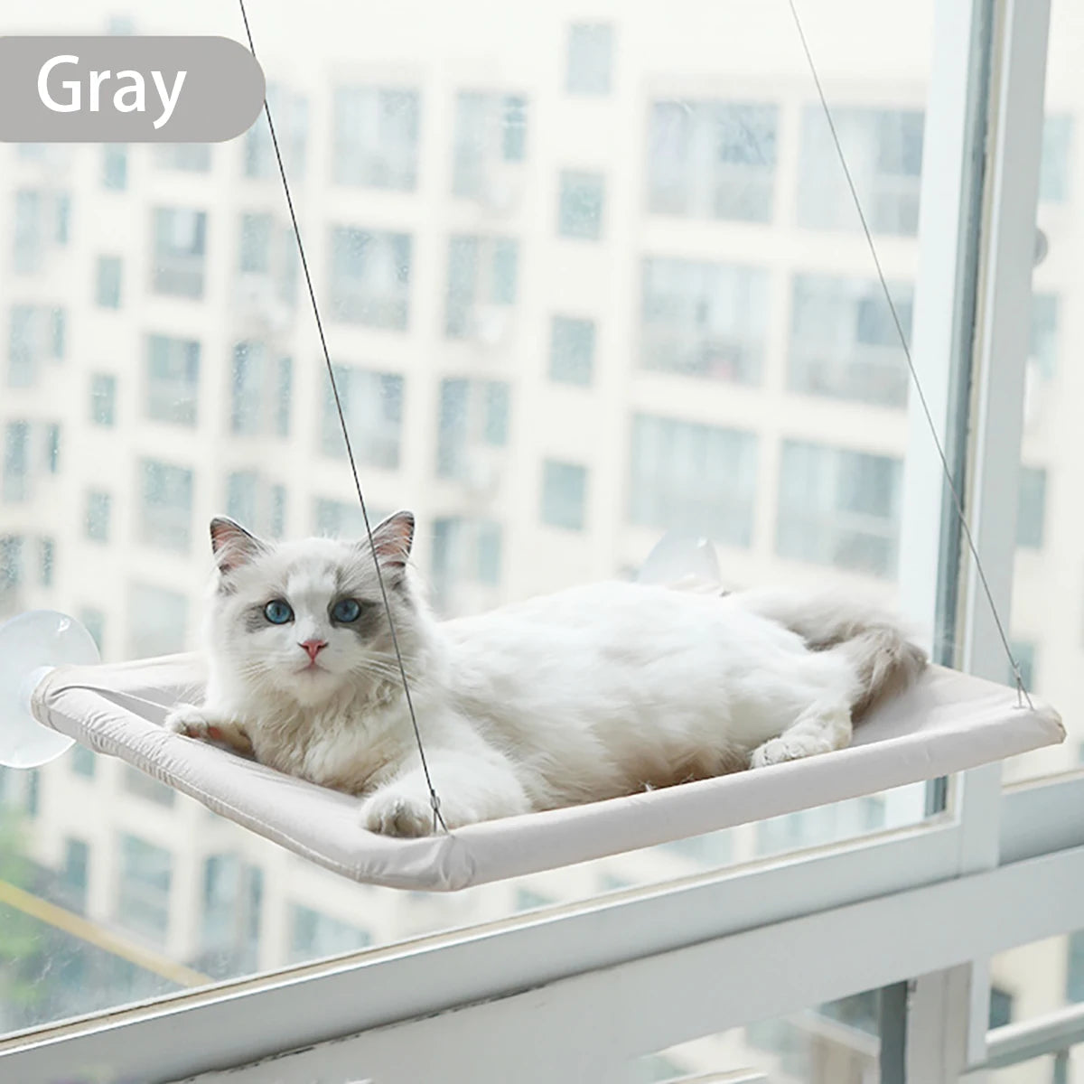 20KG Pet Cat Hammock Hanging Cat Bed Bearing Comfortable Cat Sunny Window Seat Mount Kitten Climbing Frame Pet Accessories Horizon