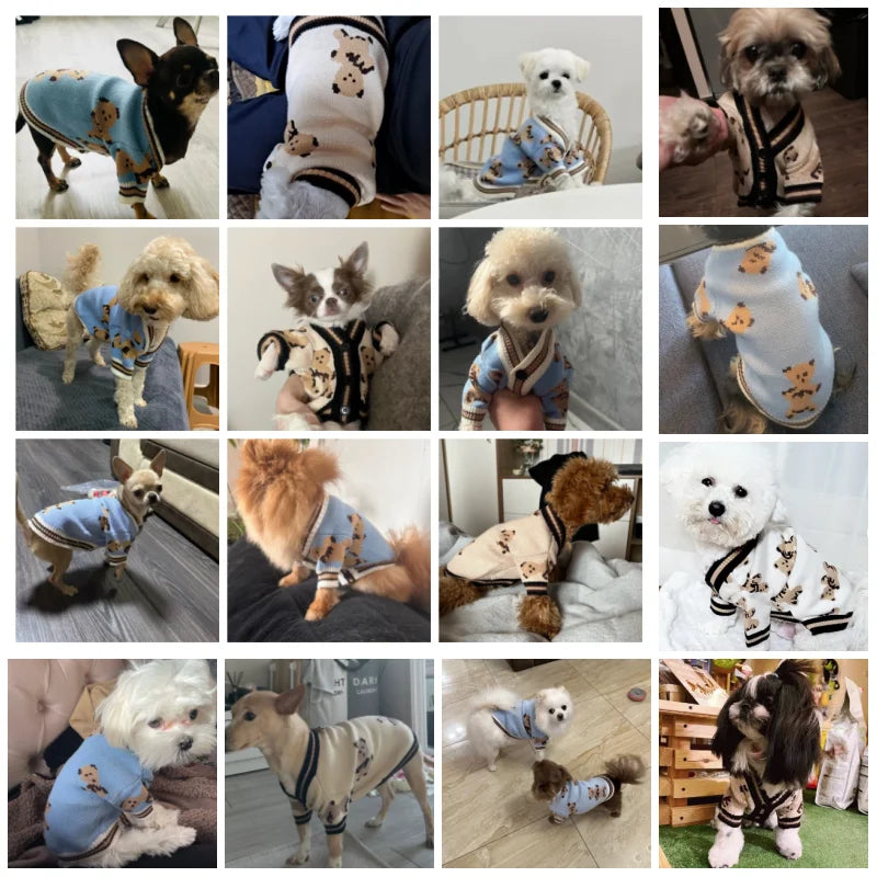 Striped Dog Cardigan Sweater — Warm Winter Coat for Small Dogs Horizon