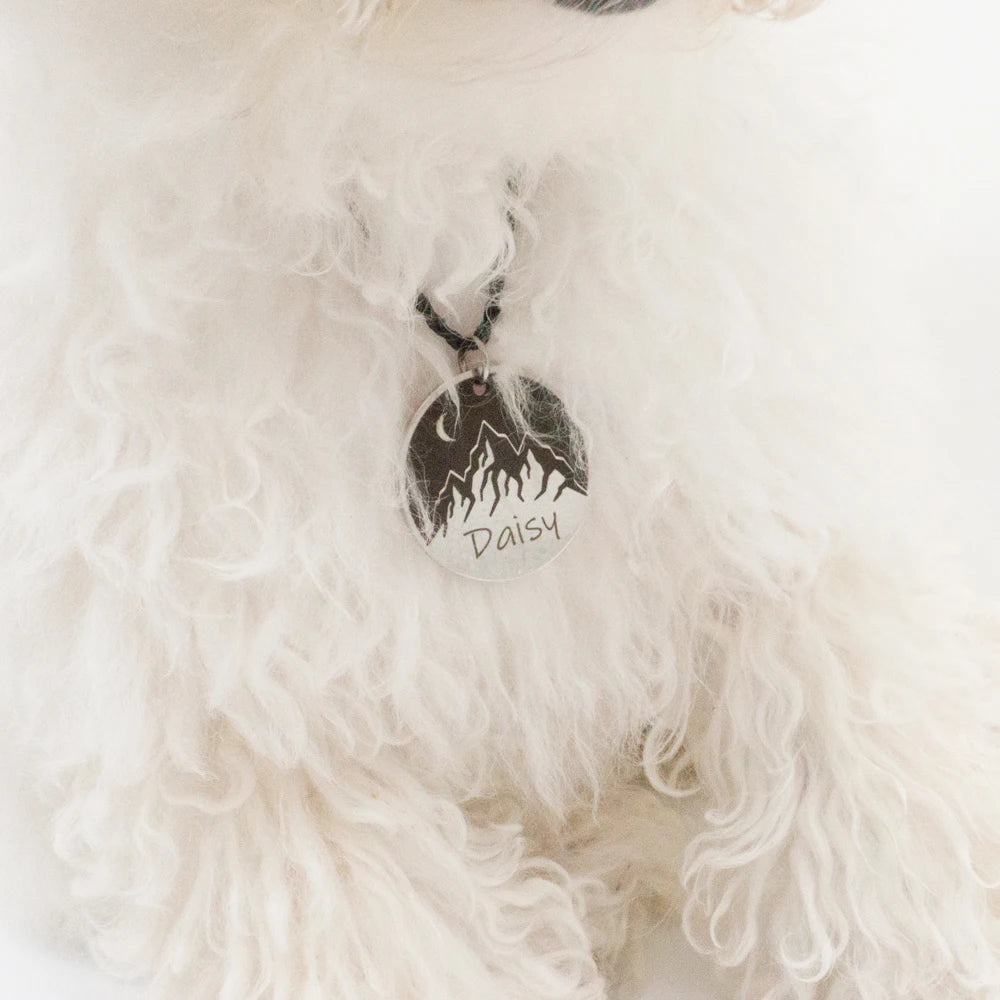 Custom Dog ID Tag Engraved Retro Personalized Name ID Tag For Dogs Cats Puppies Round Metal Nameplate Pet Products Horizon