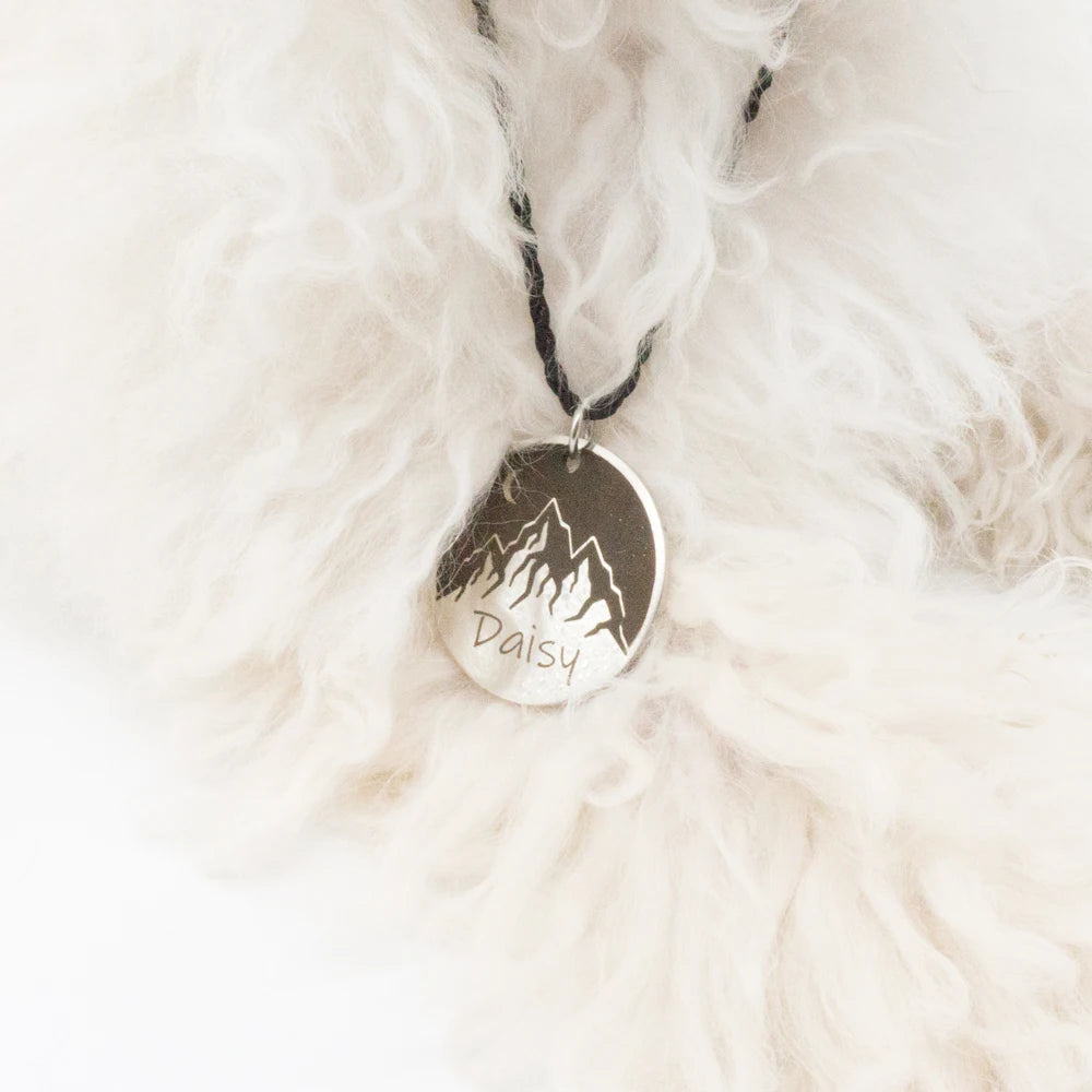 Custom Dog ID Tag Engraved Retro Personalized Name ID Tag For Dogs Cats Puppies Round Metal Nameplate Pet Products