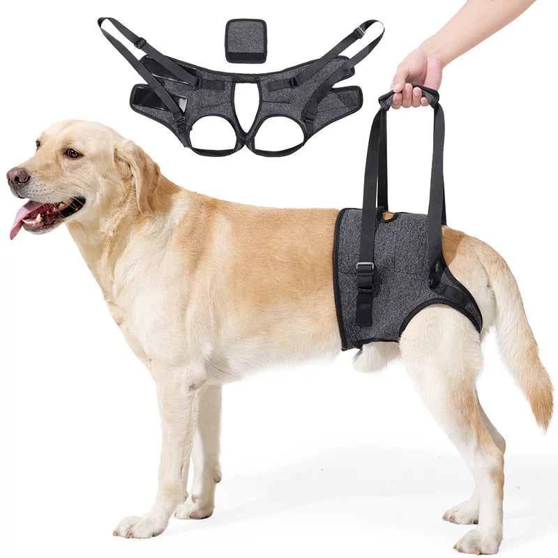 Adjustable Dog Lift Harness for Large Dogs Soft Padded Pet Rear Leg Support for Old Disabled Joint Injuries Dog Back Leg Hold