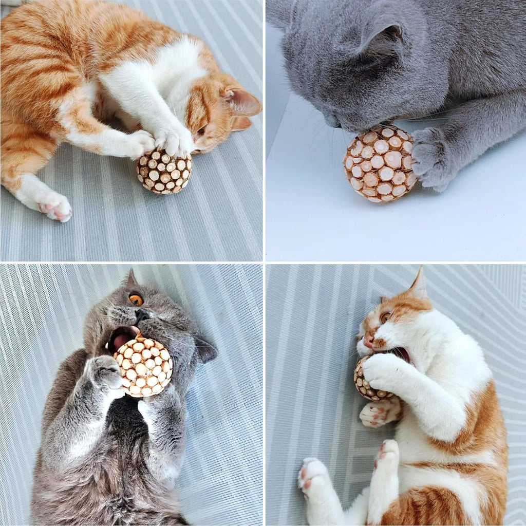 Silvervine Ball Silvervine Stick Chew Combo New Cat Toys Teeth Cleaning Remove Tartar Fresh Breath Cats Kittens Teeth Supplies