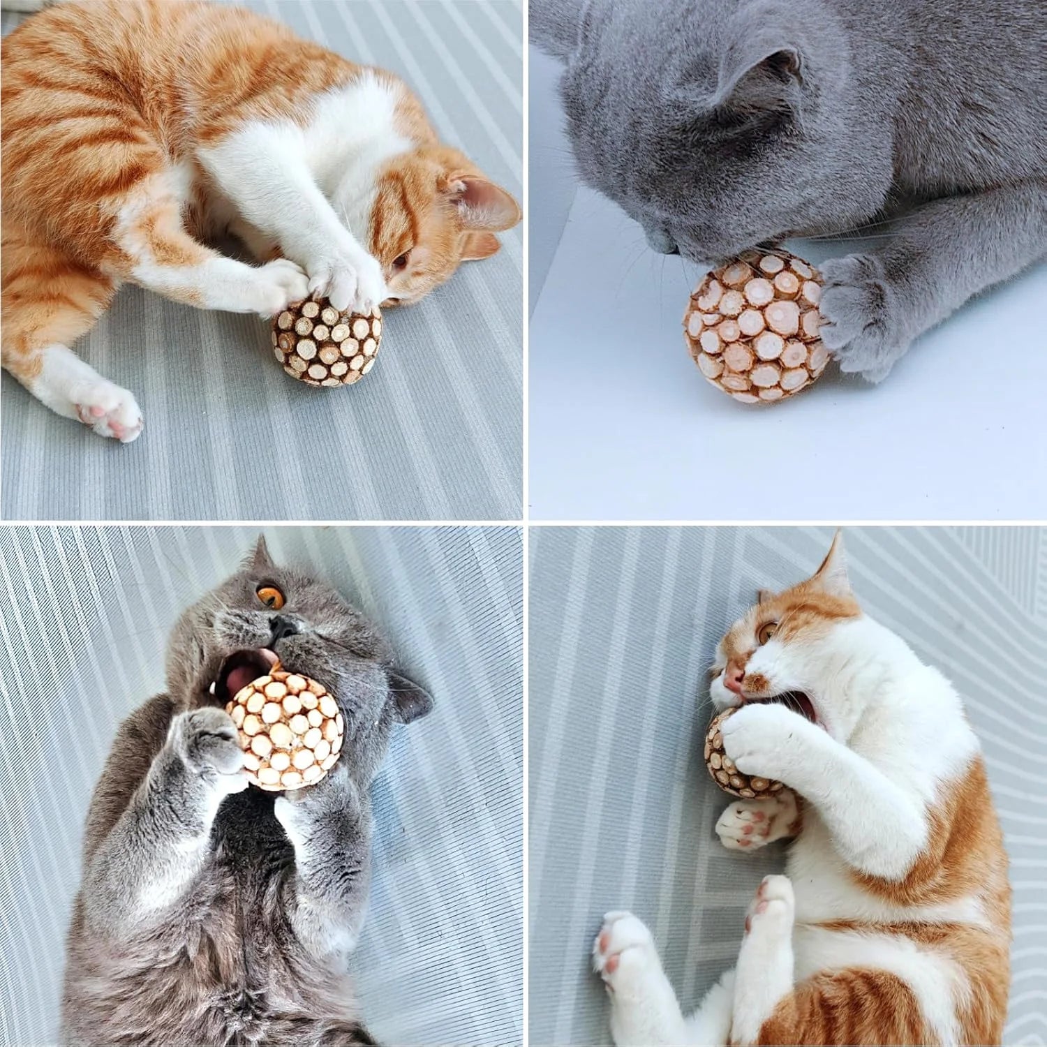 Silvervine Ball Silvervine Stick Chew Combo New Cat Toys Teeth Cleaning Remove Tartar Fresh Breath Cats Kittens Teeth Supplies