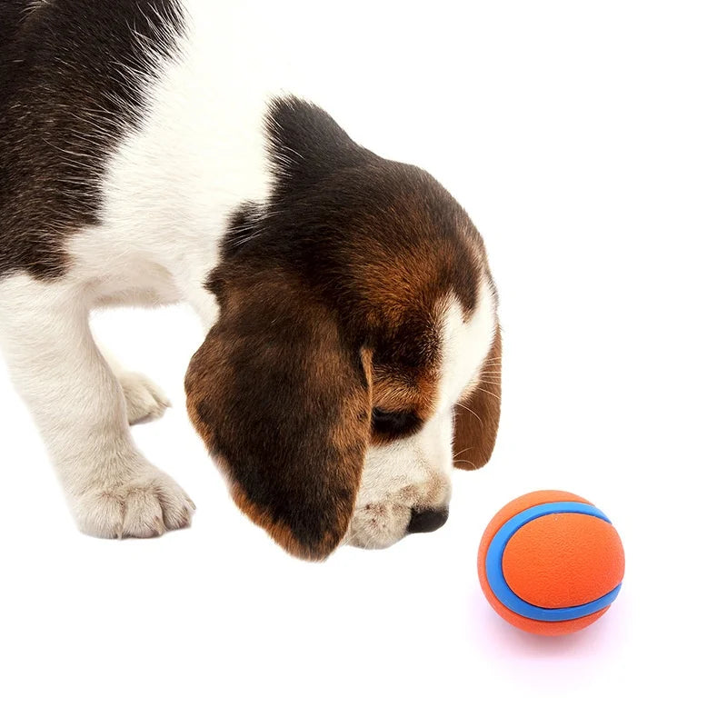 Tough Dog Toy Ball Chew Proof Elastic Jumping Fetch Ball for Large Medium Small Dogs Puppy Pet Chew Toy  Pet Accessories