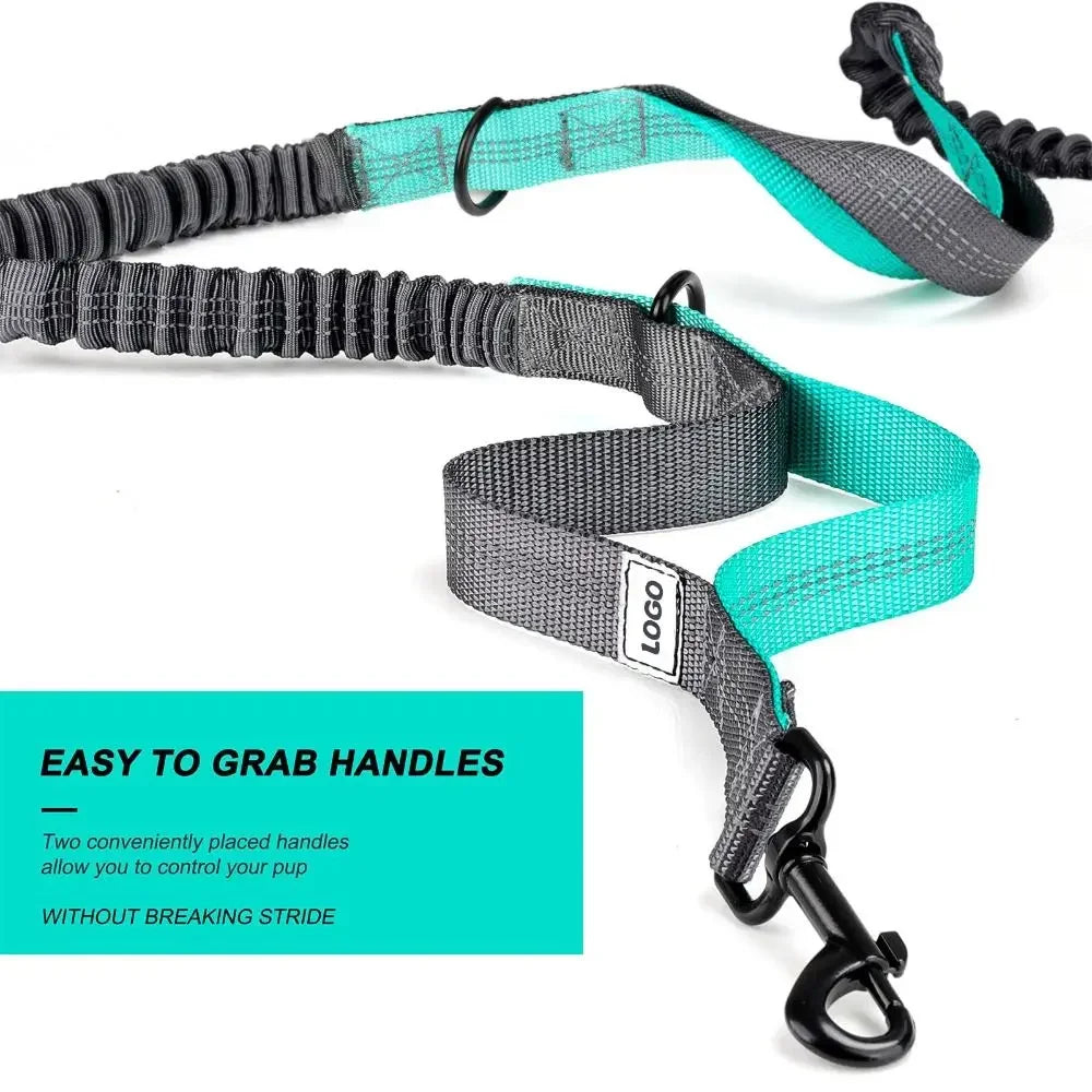Hand Hands Free Dog Leash with Zipper Pouch Waist Belt with Multi Pockets Bag Reflective Stitching Bungee with Running Jogging
