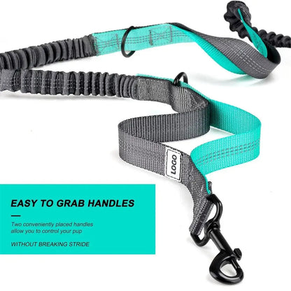 Hands-Free Dog Leash with Waist Belt &amp; Zipper Pouch Horizon