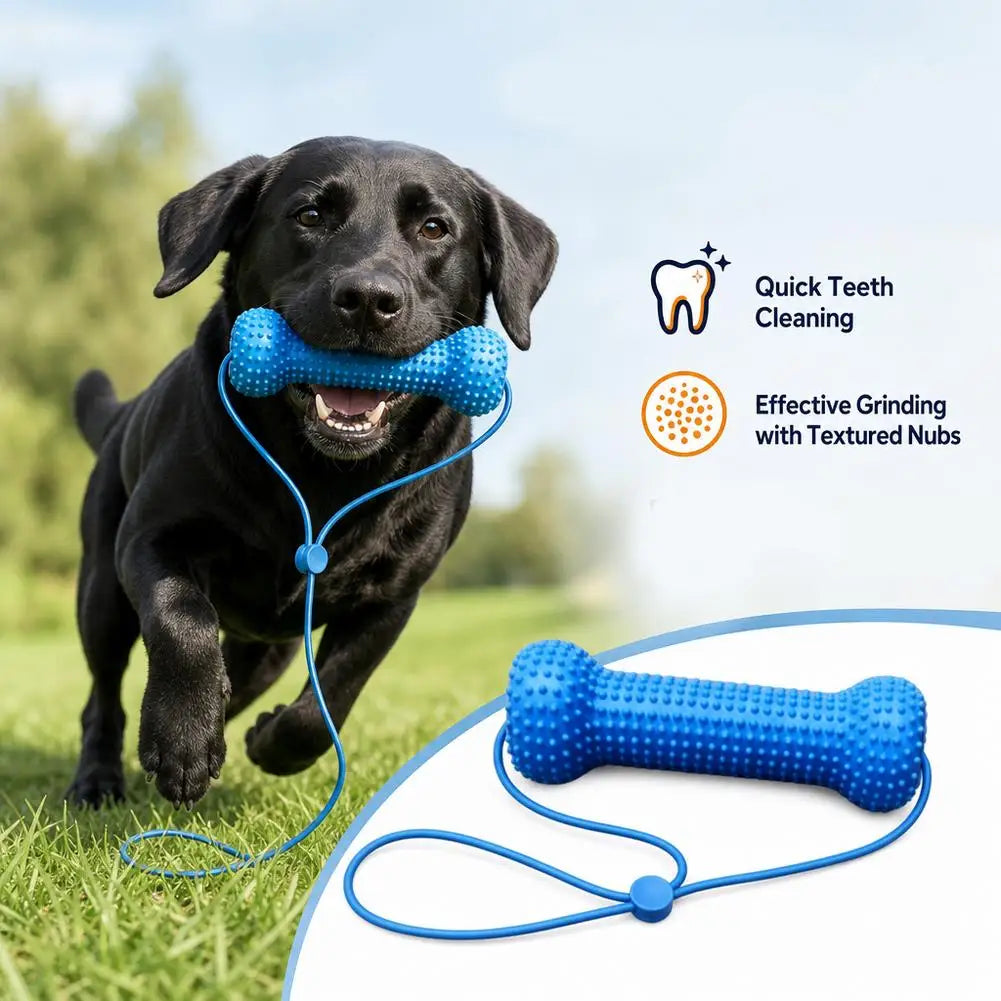 Dual-Action Canine Dental Prop, Dog Dental Chew Toy for Teeth Cleaning Brushing, Reusable Dental Chews for Dogs
