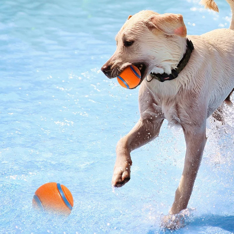 Tough Dog Toy Ball Chew Proof Elastic Jumping Fetch Ball for Large Medium Small Dogs Puppy Pet Chew Toy  Pet Accessories