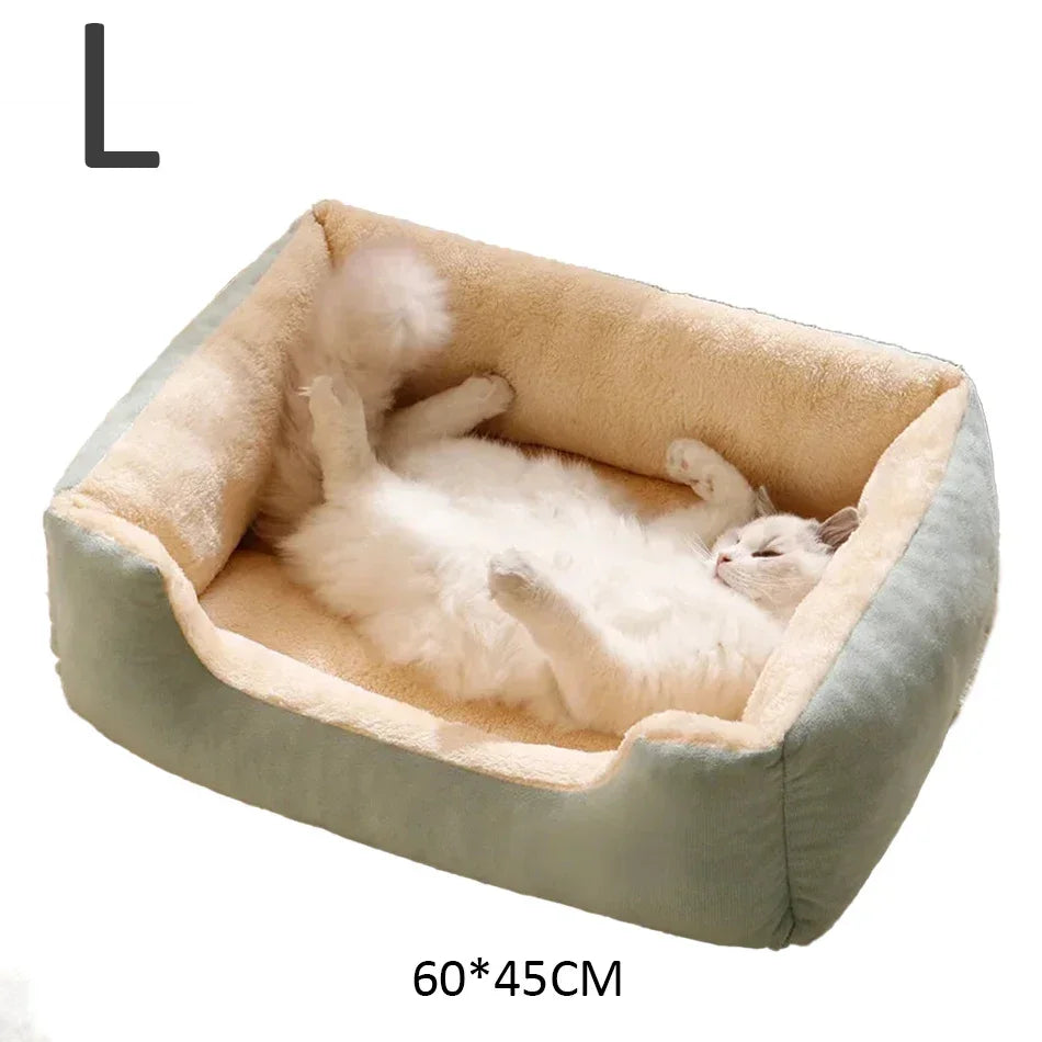 Bed for Cats Pet Products Cushions Kitten Goods Accessories Dog All Houses Supplies Things Accessory Habitats Basket House Beds Horizon