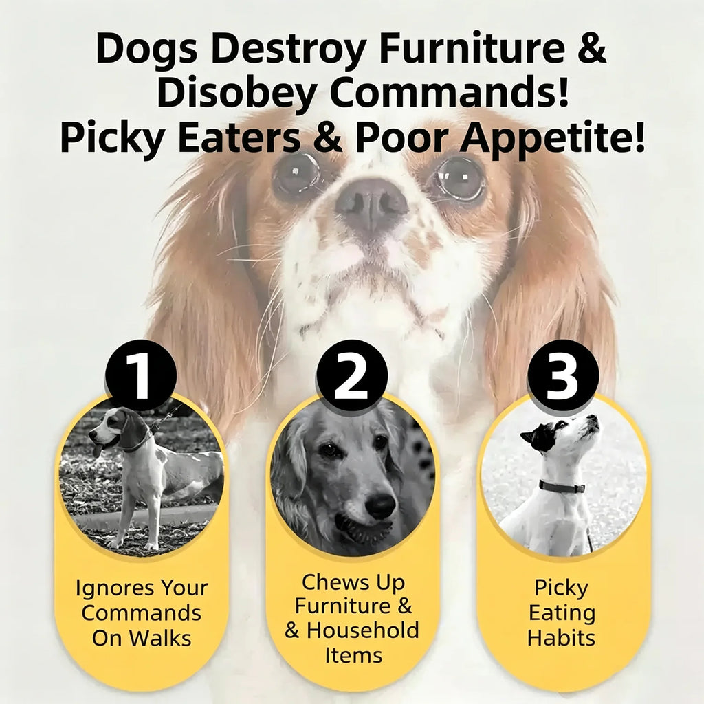 Beef Jerky Dog Treats, Premium Quality Raw Protein Warps for Dogs, Bite-Sized Training Treats & Food Topper, Cat Friendly