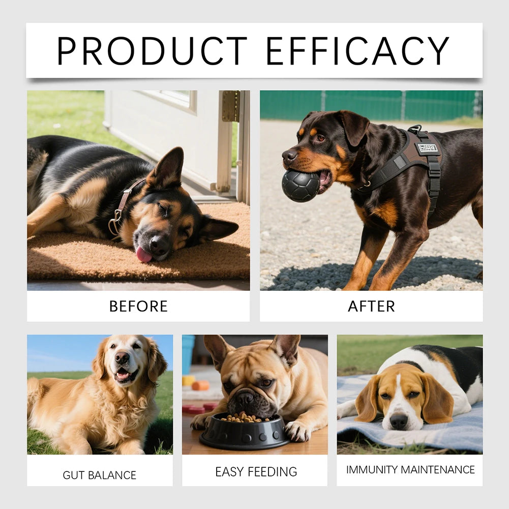 200g Dog Allergy Relief Immune Chews,Itch Relief Skin Coat Supplement Stop Pawlicking,For Picky Eaters & Easy Dosage