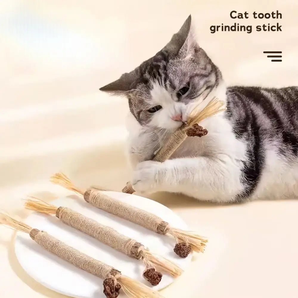 Cat Silver Vine Teeth Grinding Rod Natural Catnip Cat Toy Dental Care Wood Toy For Cat Bite Resistant Tooth Cleaning Supplies