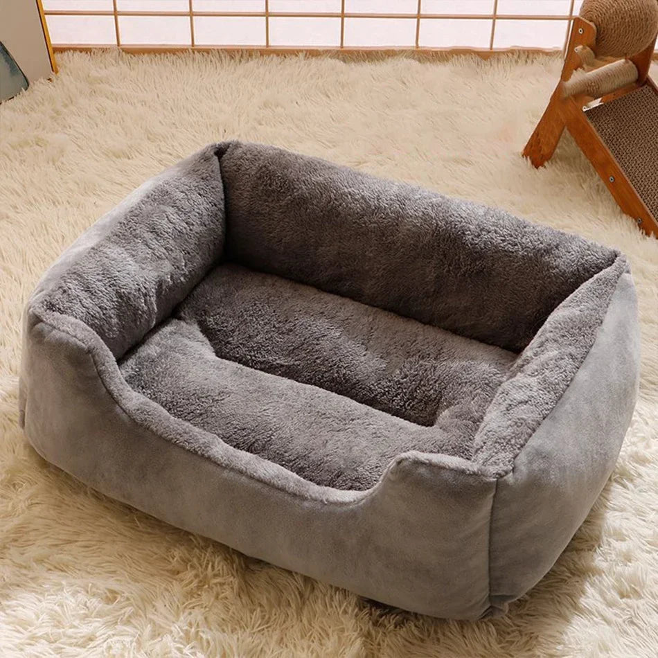 Bed for Cats Pet Products Cushions Kitten Goods Accessories Dog All Houses Supplies Things Accessory Habitats Basket House Beds Horizon