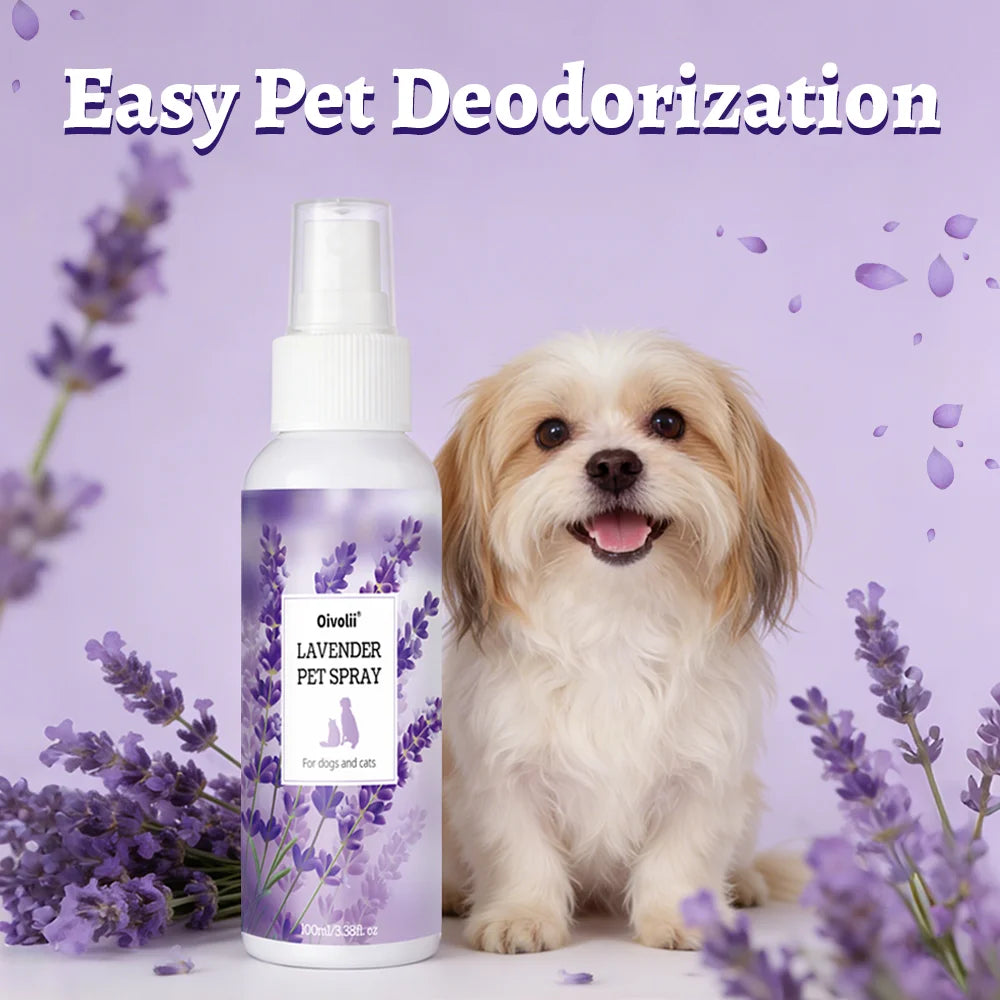 Pet Shampoo And Conditioner 2-in-1 Lavender Scent Deep Cleansing Refreshing Coat Softener For All Dogs Pet Deodorizer