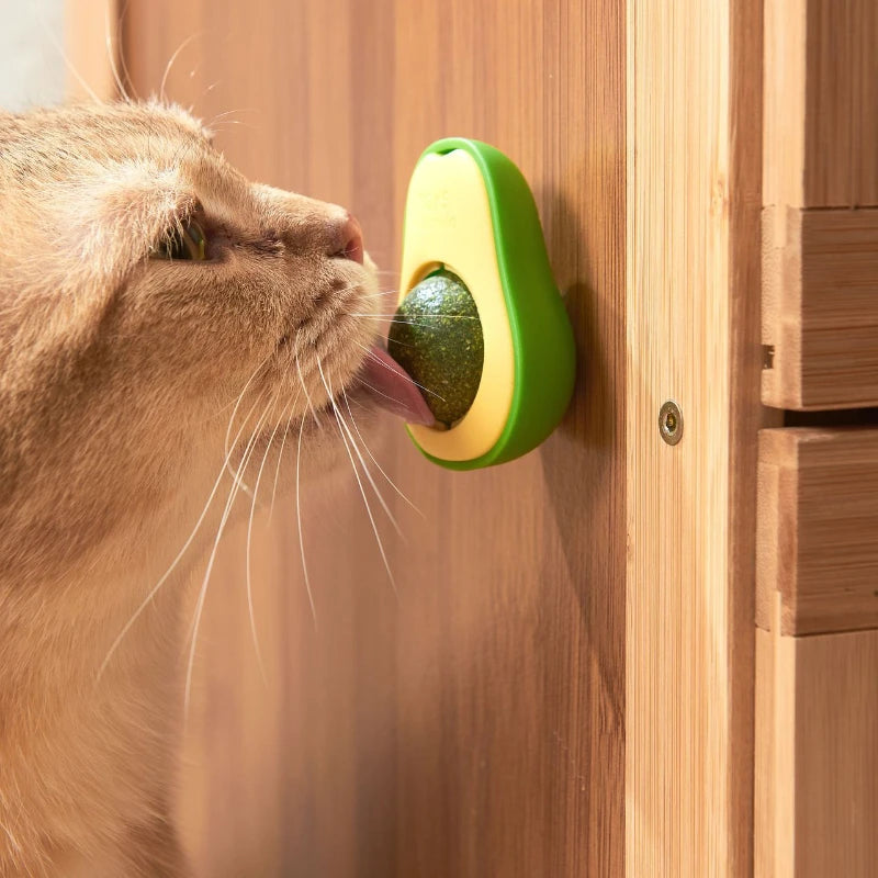 Natural Catnip Cat Wall Stick-on Ball Toy Scratchers Treats Healthy Natural Removes Balls to Promote Digestion Cat Grass Snack