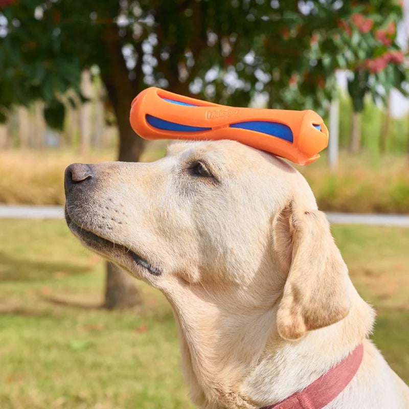 Floating Dog Water Toy for Pool | Indestructible Bite Resistant Rubber Stick | Interactive Fetch Toy for Swimming Beach