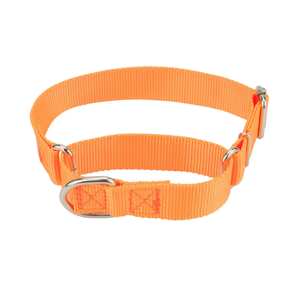 Dog Collar Adjustable Nylon Anti-Punch Pet Collar with Metal D Ring Strong & Durable for Medium & Large Dogs Training Dog Collar
