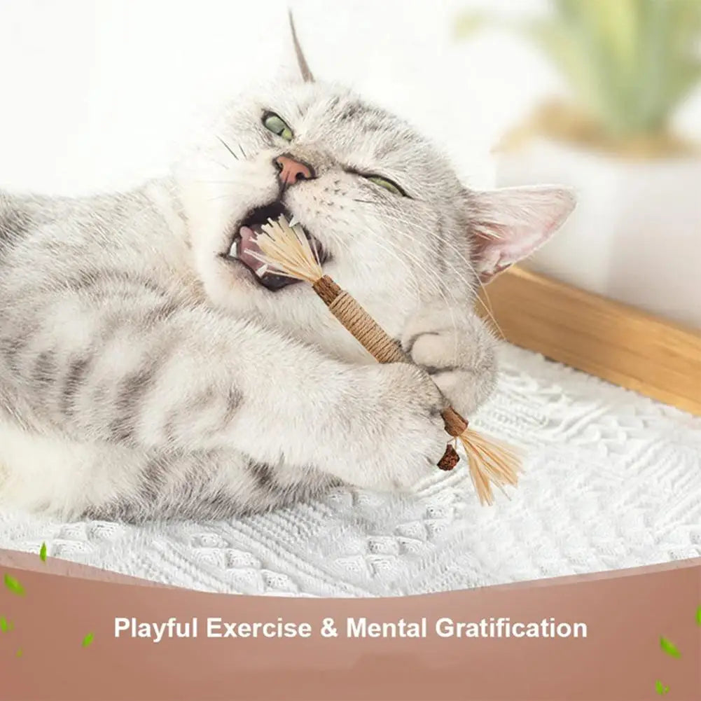 Cat Silver Vine Teeth Grinding Rod Natural Catnip Cat Toy Dental Care Wood Toy For Cat Bite Resistant Tooth Cleaning Supplies