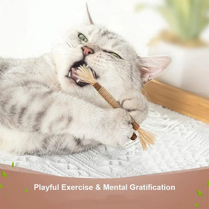 Silver Vine Catnip Teeth Grinding Rod — Natural Cat Dental Toy Horizon