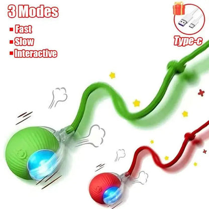 Automatic Rolling Ball Cat &amp; Dog Toy — Rechargeable Smart Pet Toy Horizon