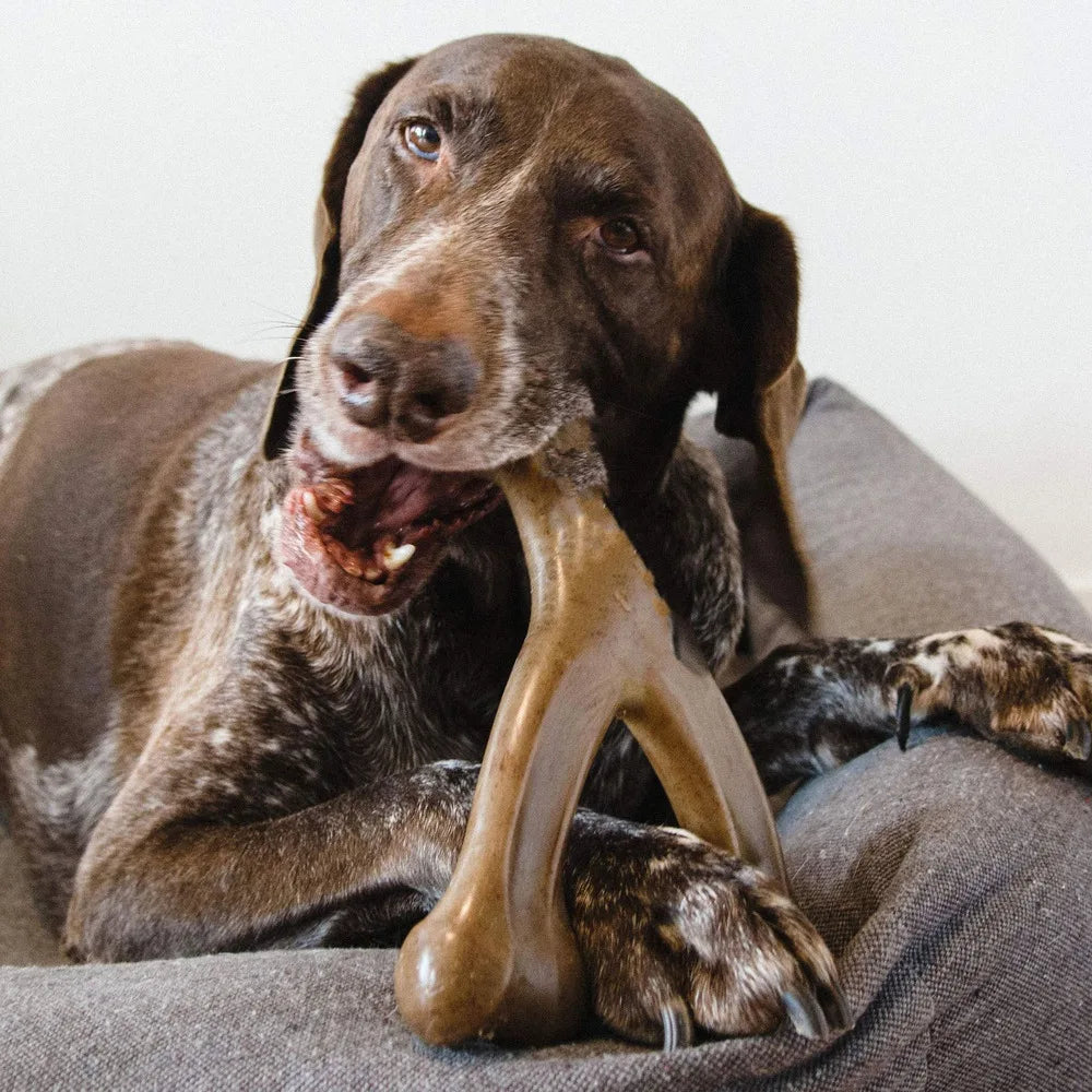 Durable Bone Dog Chew Toy for Aggressive Chewers Real Bacon Flavored Nylon Made in USA Medium Size Dog Dental Health