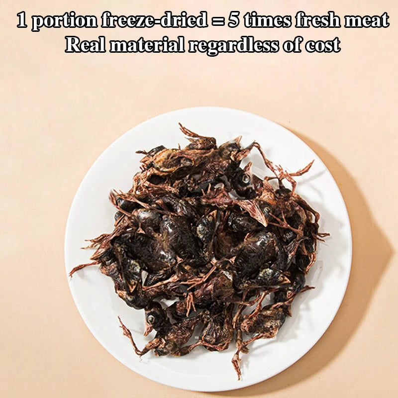 Quail freeze-dried cat snacks kittens calcium supplement molars teeth fattening hair gills pet dried cat food