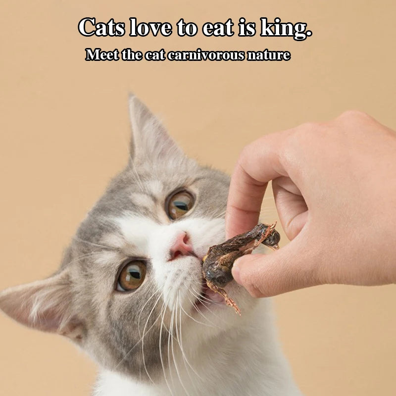 Quail freeze-dried cat snacks kittens calcium supplement molars teeth fattening hair gills pet dried cat food