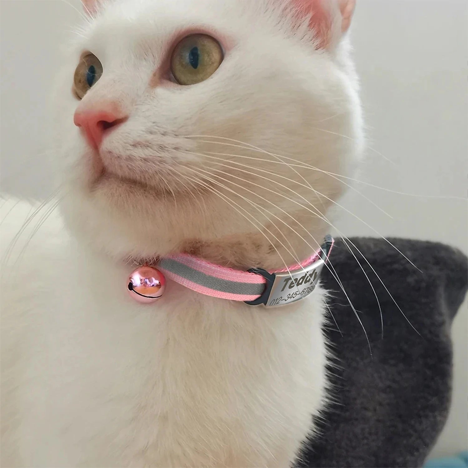 Customized Pet Collar Reflective Cat Collars Free Engraved Puppy Kitten Pet ID Nameplate Necklace With Bell Anti-lost For Cats