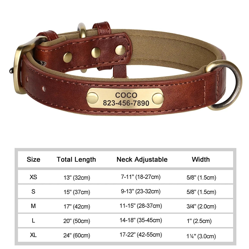 Personalized Leather Dog Collar with Free Engraved Name Horizon