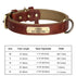 Personalized Leather Dog Collar with Free Engraved Name Horizon