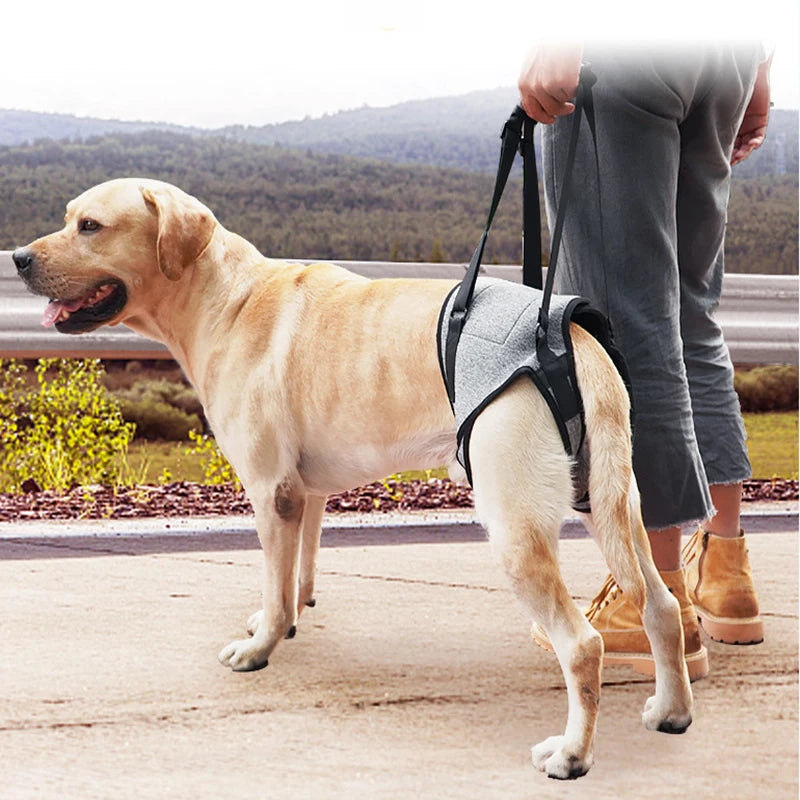 Adjustable Dog Lift Harness for Large Dogs Soft Padded Pet Rear Leg Support for Old Disabled Joint Injuries Dog Back Leg Hold