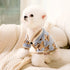Striped Dog Cardigan Sweater — Warm Winter Coat for Small Dogs Horizon