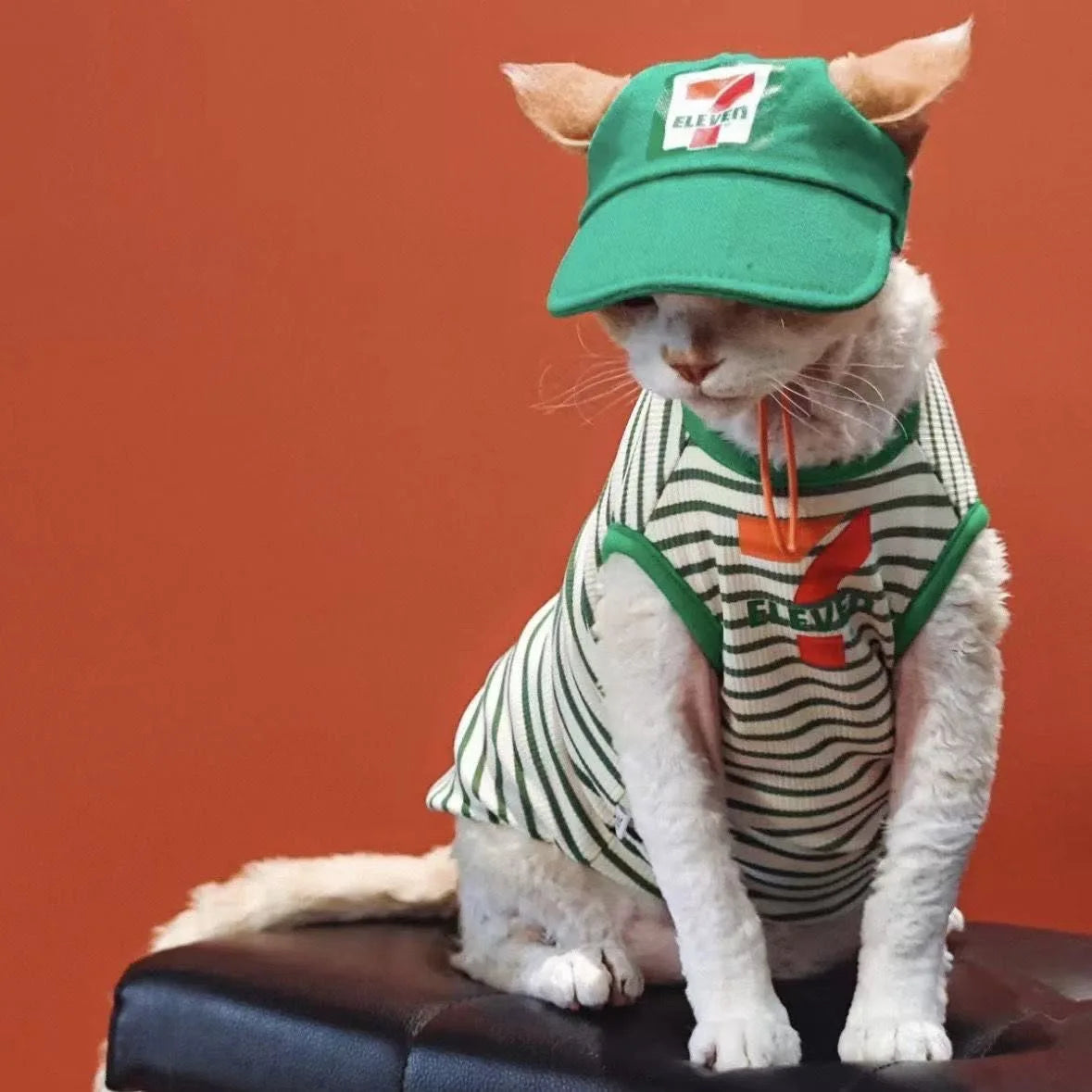 A Set Cat Clothes Funny Costume Convenience Store Employee Cosplay Creative Pet Party Kitten Jumpsuits Novelty Dress Up Costume