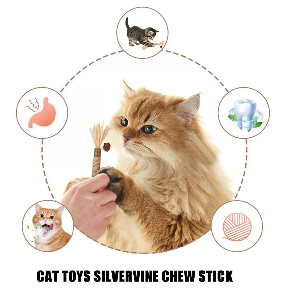 Silver Vine Catnip Teeth Grinding Rod — Natural Cat Dental Toy Horizon