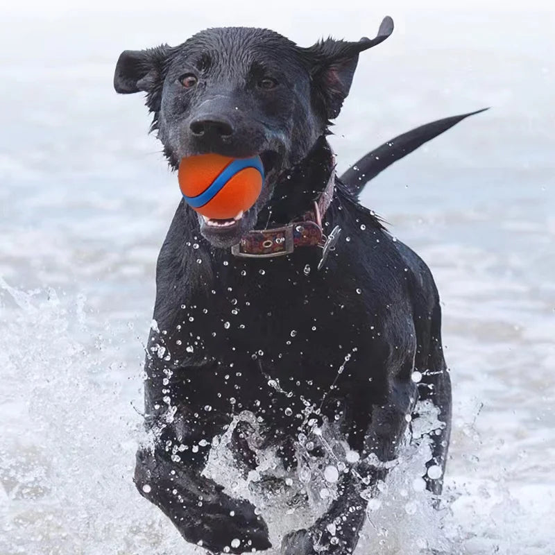 Tough Dog Toy Ball Chew Proof Elastic Jumping Fetch Ball for Large Medium Small Dogs Puppy Pet Chew Toy  Pet Accessories