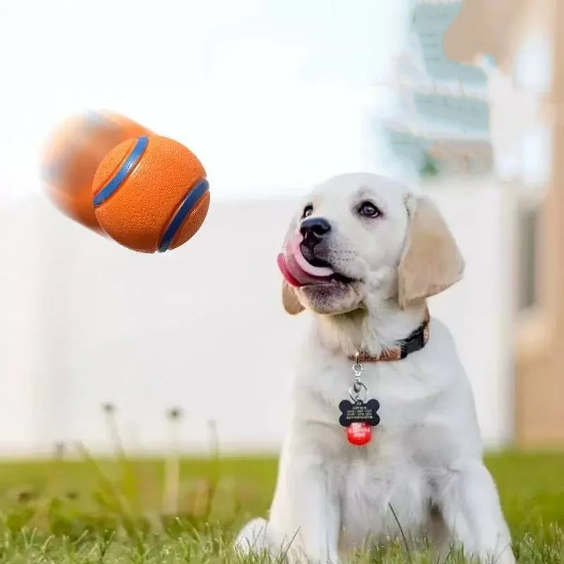 Tough Dog Toy Ball Chew Proof Elastic Jumping Fetch Ball for Large Medium Small Dogs Puppy Pet Chew Toy  Pet Accessories