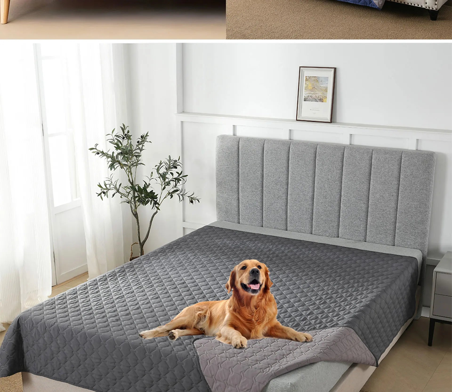 100% Double-Sided Reversible Pet Blanket Sofa Couch Furniture Protector Dog Bed Cover for Kids Children Dog Cat