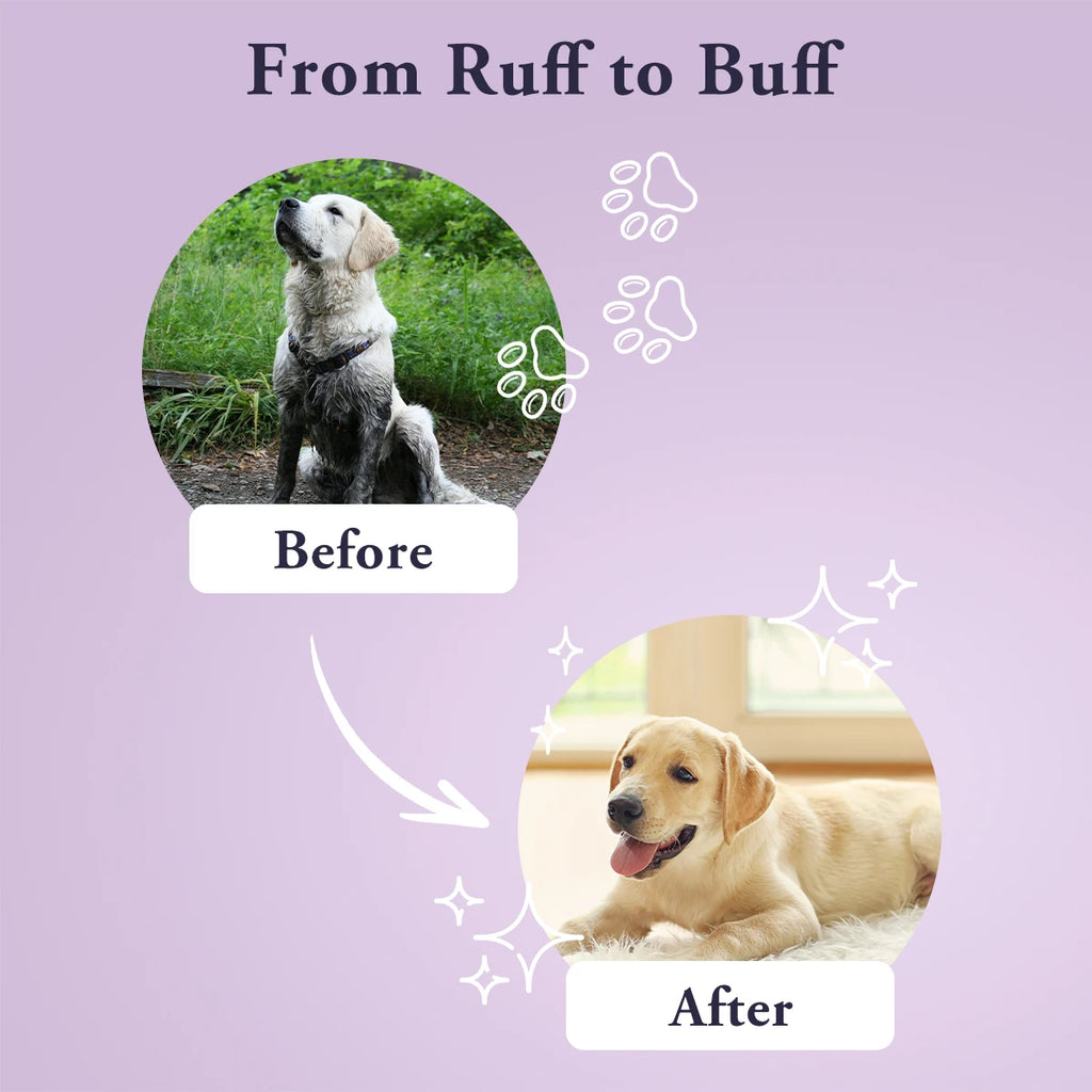 2 In 1 Lavender Dog Shampoo Conditioner Hypoallergenic Soothing Formula Healthy Shiny Coat Gentle Pet Care For Dogs Cats