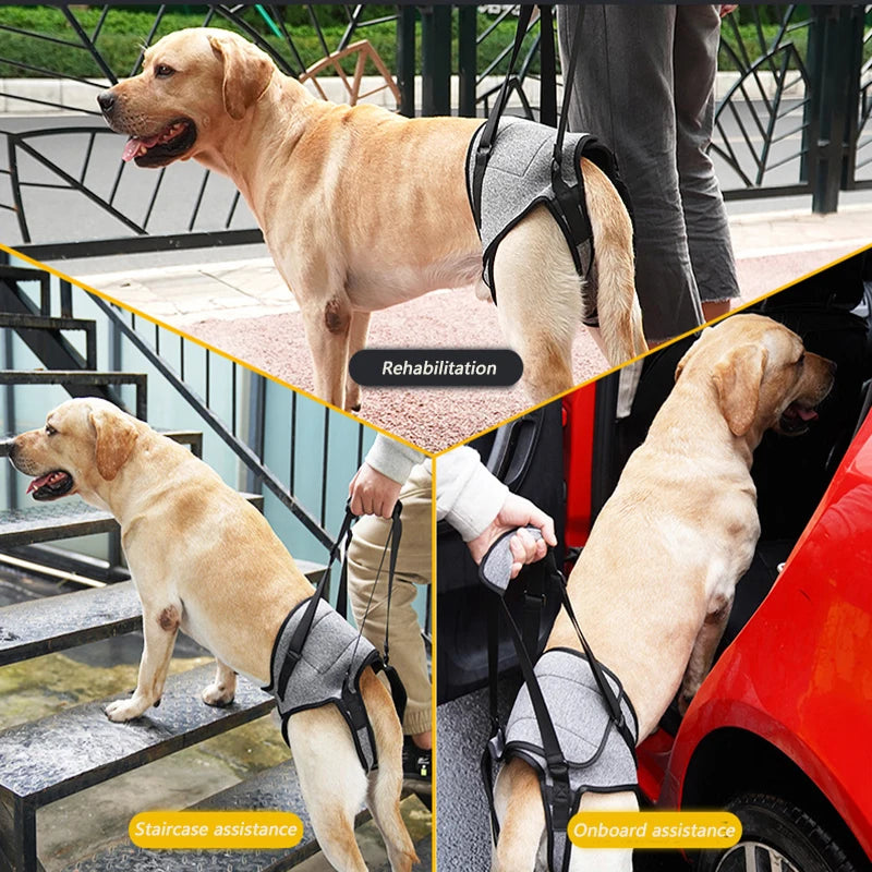 Adjustable Dog Lift Harness for Large Dogs Soft Padded Pet Rear Leg Support for Old Disabled Joint Injuries Dog Back Leg Hold