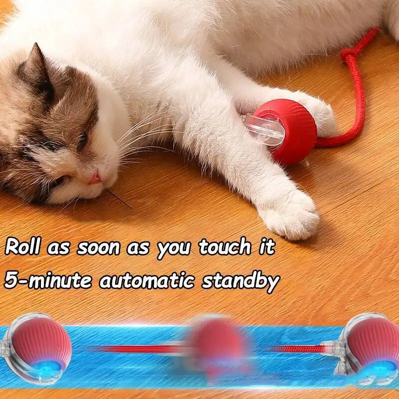 Automatic Rolling Ball Cat &amp; Dog Toy — Rechargeable Smart Pet Toy Horizon