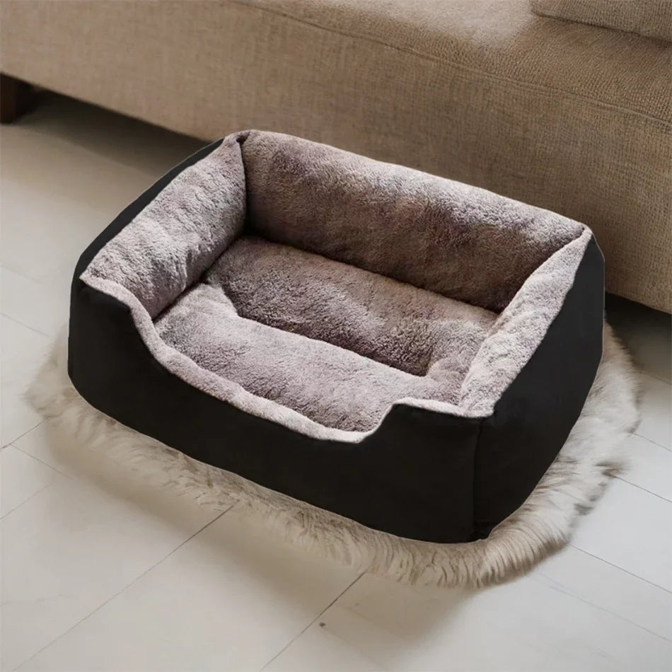Bed for Cats Pet Products Cushions Kitten Goods Accessories Dog All Houses Supplies Things Accessory Habitats Basket House Beds Horizon