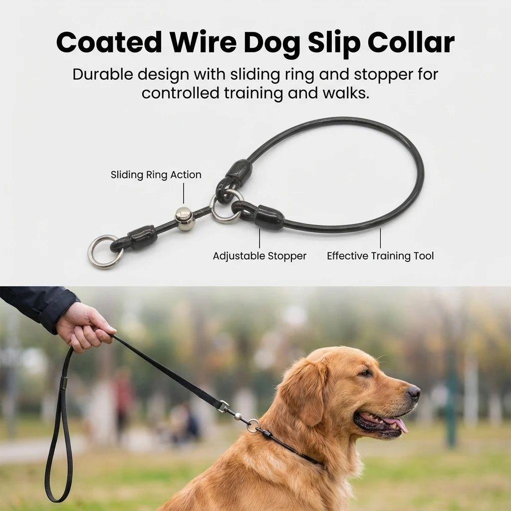 Dog Collar Steel Wire Coated P Rope Anti Explosion Collar Training Use P Rope Collar Suitable For Walking Medium Large Dogs