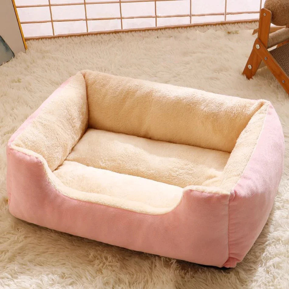 Bed for Cats Pet Products Cushions Kitten Goods Accessories Dog All Houses Supplies Things Accessory Habitats Basket House Beds Horizon
