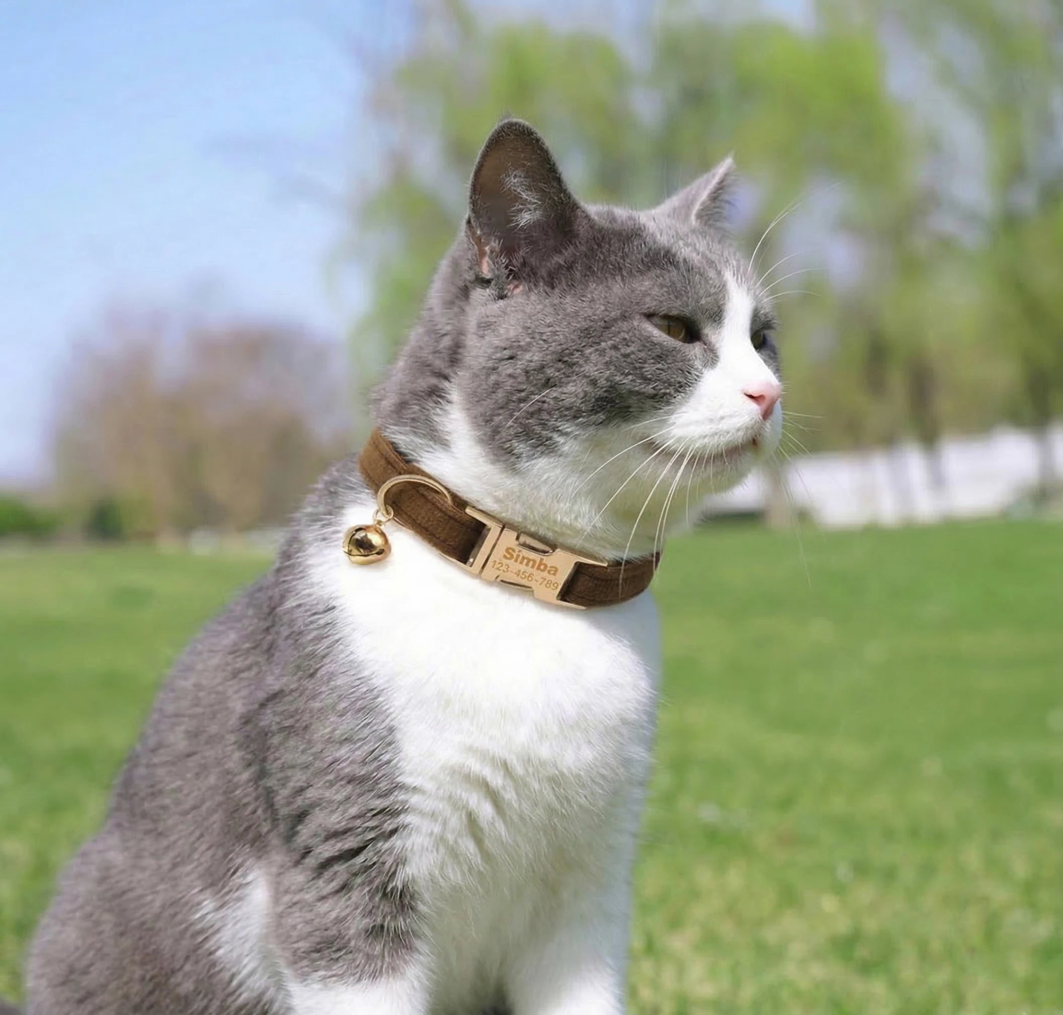 Personalized Velvet Collar Soft Pet Choker Free Custom Name Phone Number Adjustable Velvet Kitty Neckband Small Dog Identity