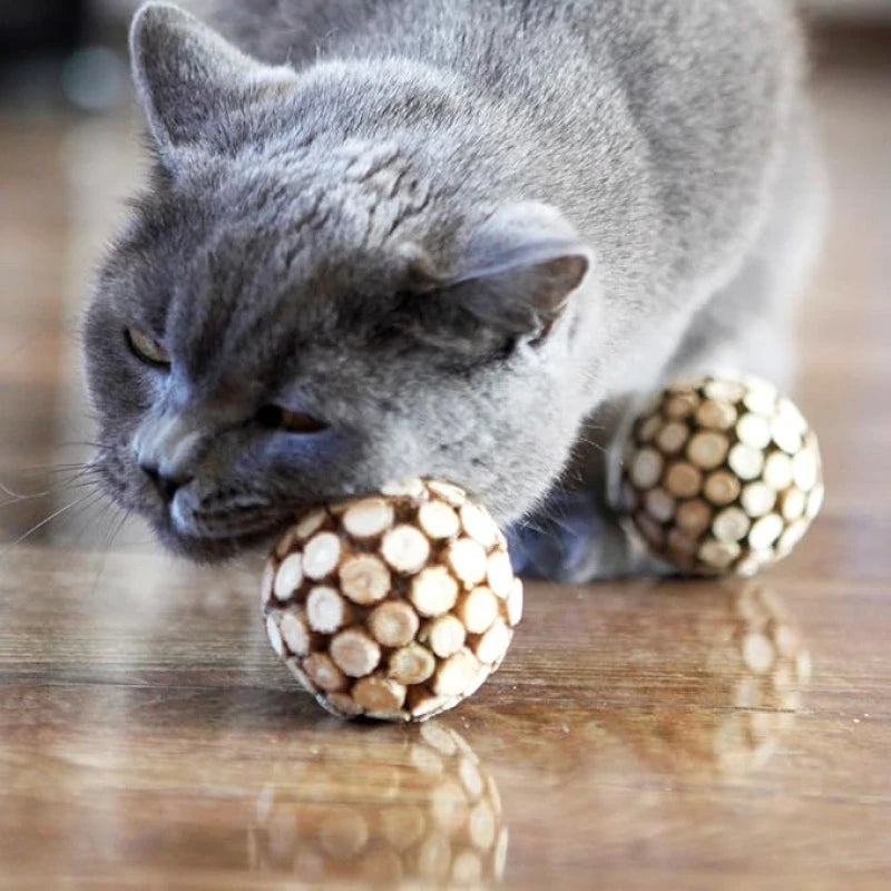 Silvervine Ball Silvervine Stick Chew Combo New Cat Toys Teeth Cleaning Remove Tartar Fresh Breath Cats Kittens Teeth Supplies