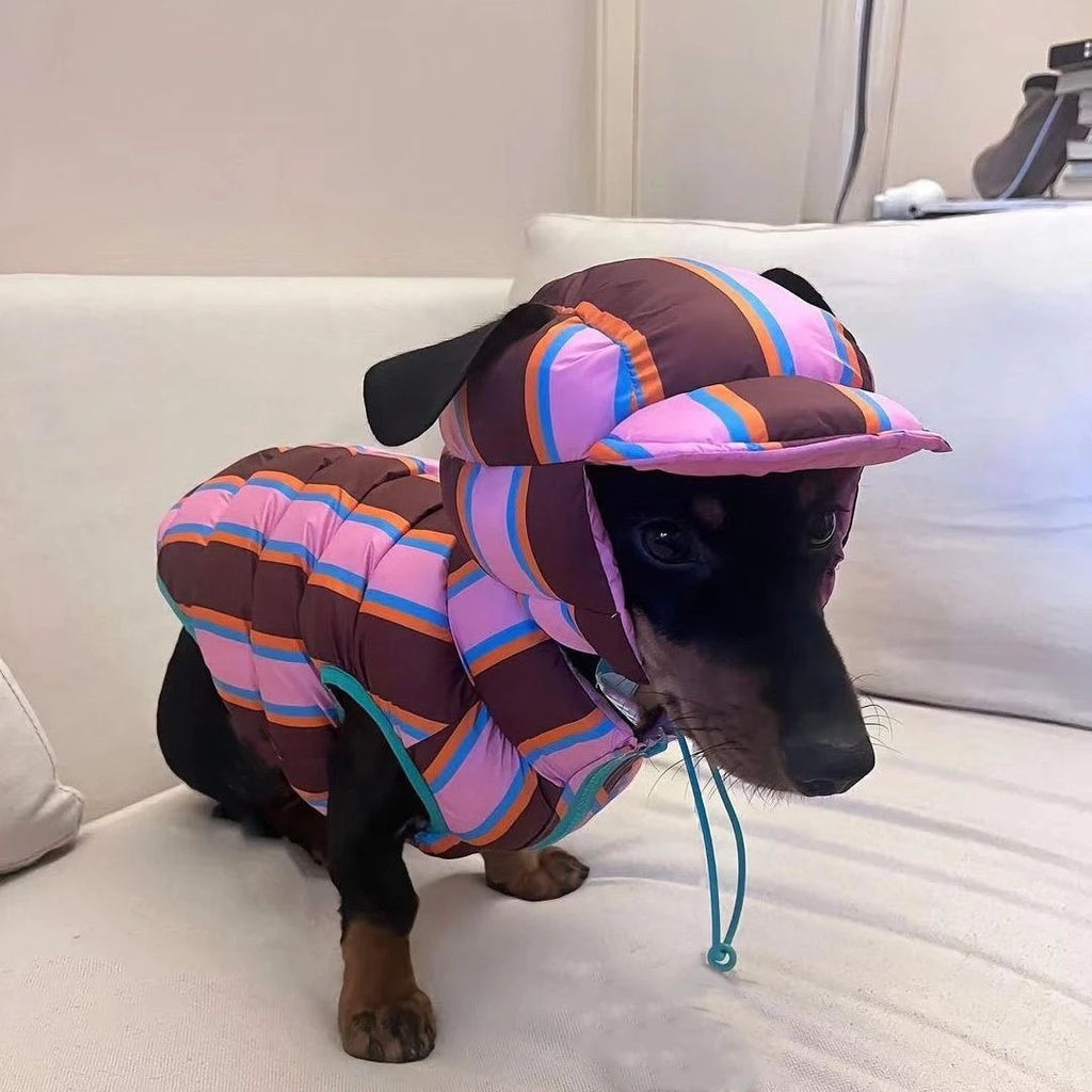 Winter Warm Dog Cotton Coat For Small Medium Puppy Bichon Teddy Rainbow Vest Jacket With Hat Dog Jacket Coat Pet Warm Clothes