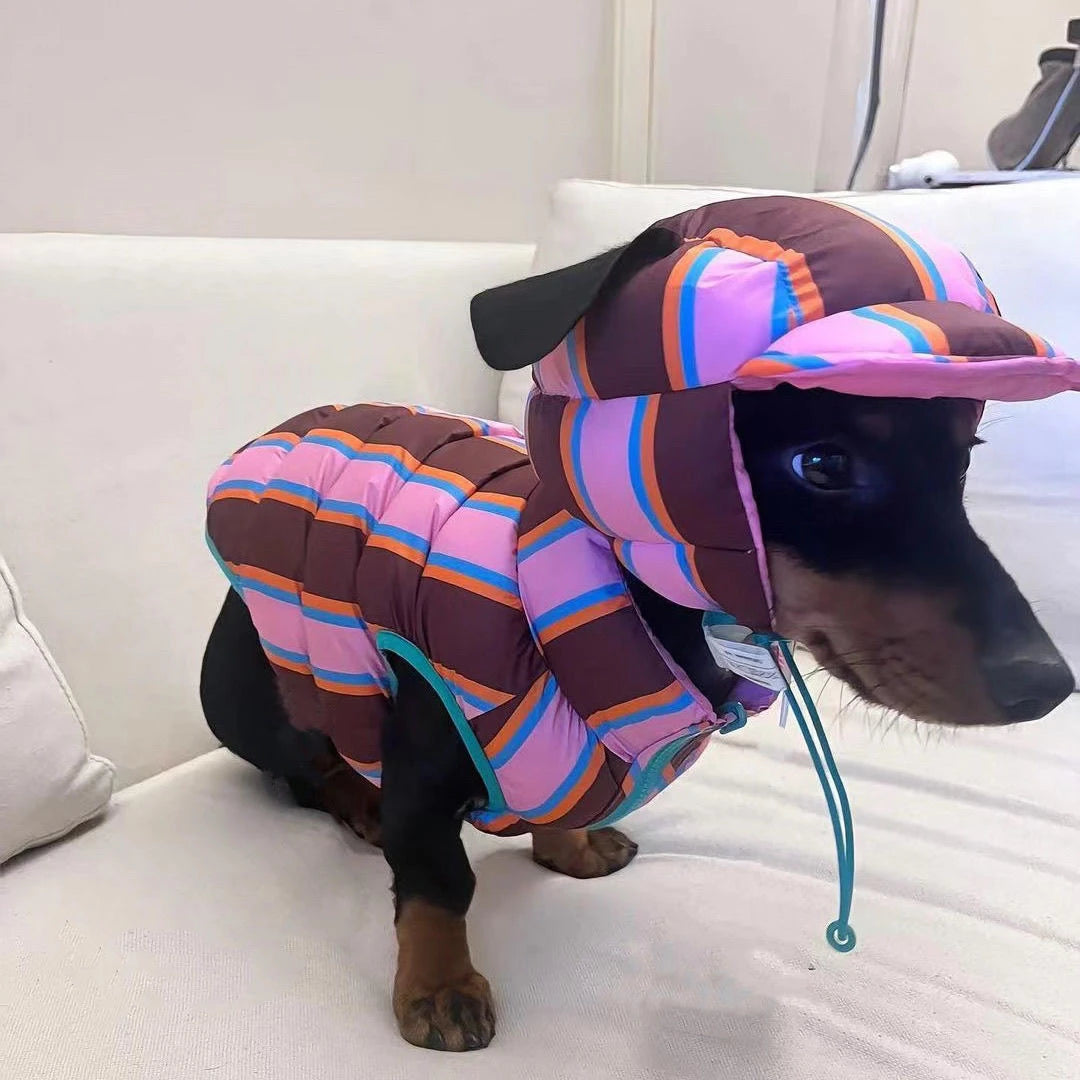 Winter Warm Dog Cotton Coat For Small Medium Puppy Bichon Teddy Rainbow Vest Jacket With Hat Dog Jacket Coat Pet Warm Clothes