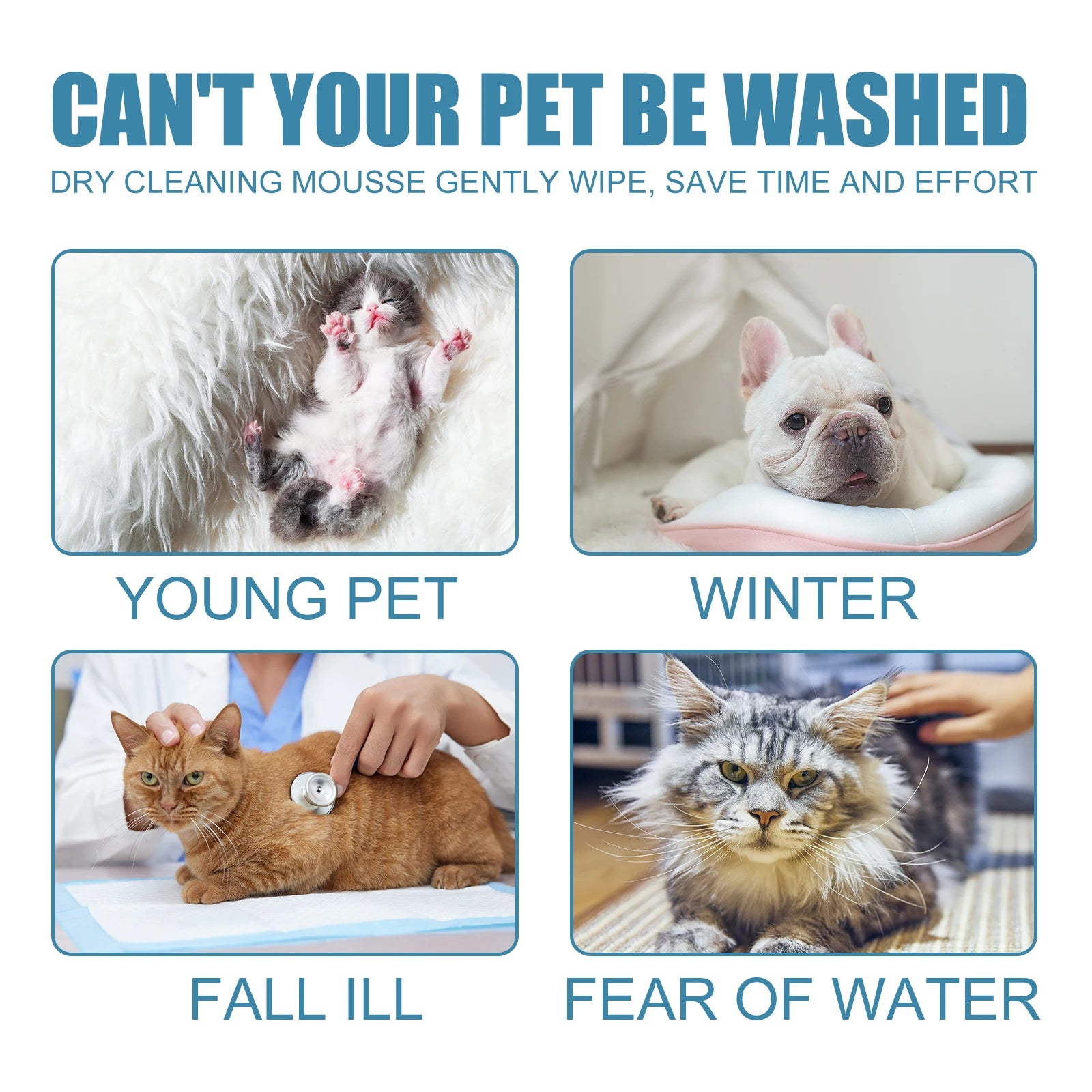 Pet Dry Shampoo Mousse Body Wash - No-Rinse for Kittens and Puppies, Removes Odor and Softens Fur