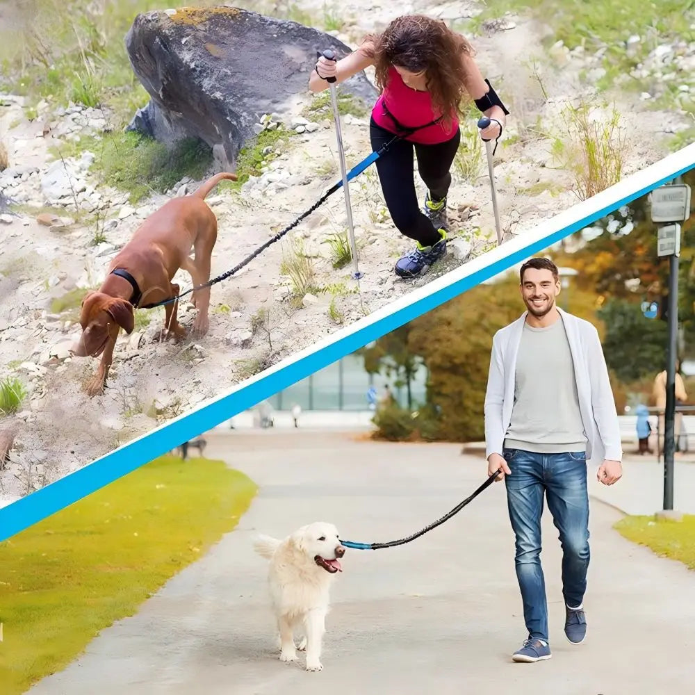 Pet Retractable Belt Leash For Running Reflective Retractable Hand Free Dog Leash with Adjustable Waist Rope For Outdoor Running